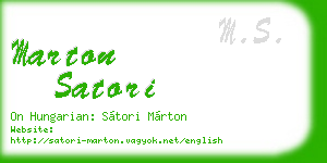 marton satori business card